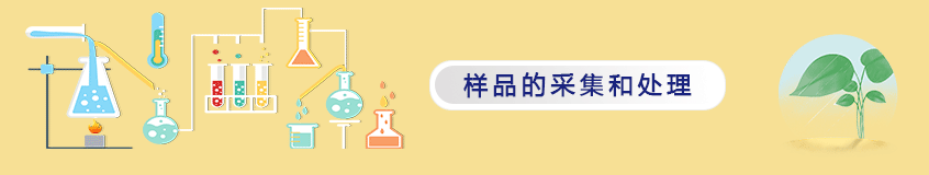 样品的采集和处理