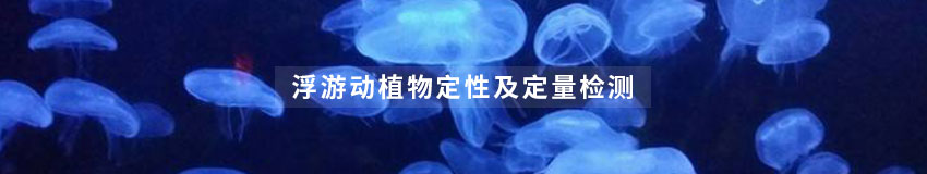 浮游生物检测