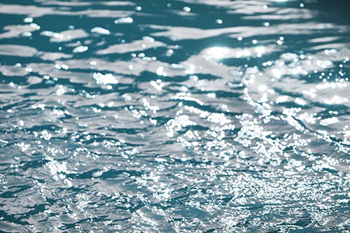 水体