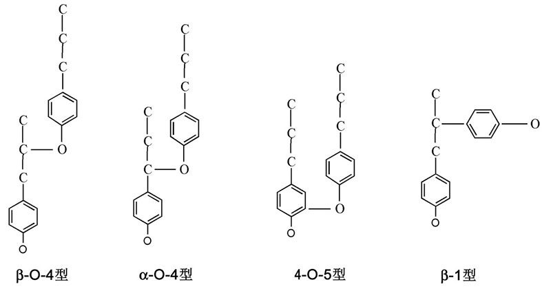 木质素单体间的联接方式